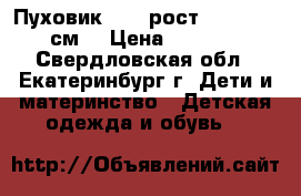 Пуховик Nike рост 147 - 158 см. › Цена ­ 1 000 - Свердловская обл., Екатеринбург г. Дети и материнство » Детская одежда и обувь   